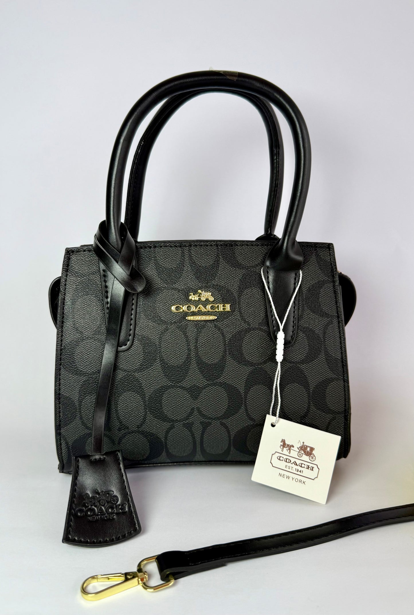 Coach Carryall