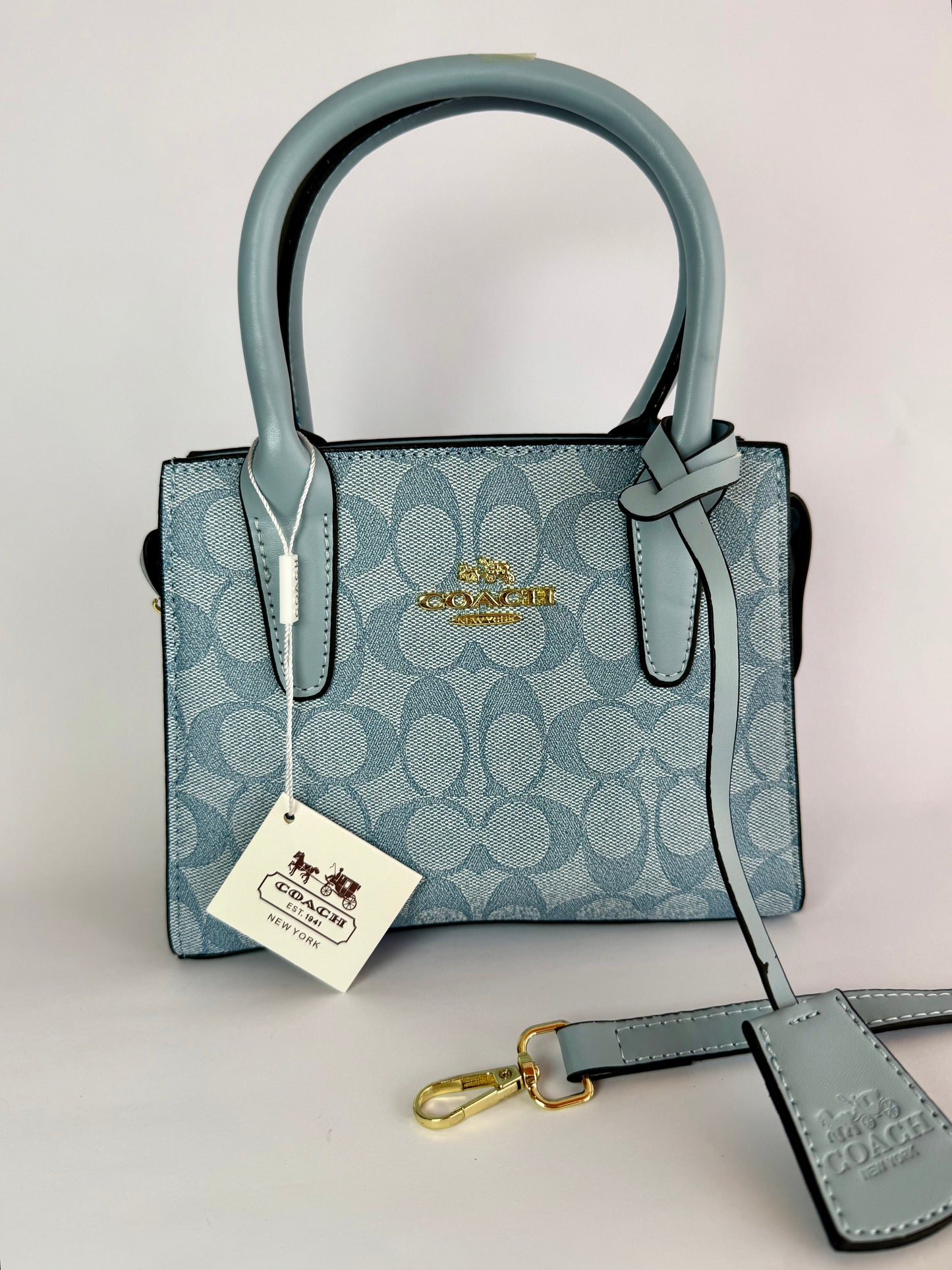 Coach Carryall